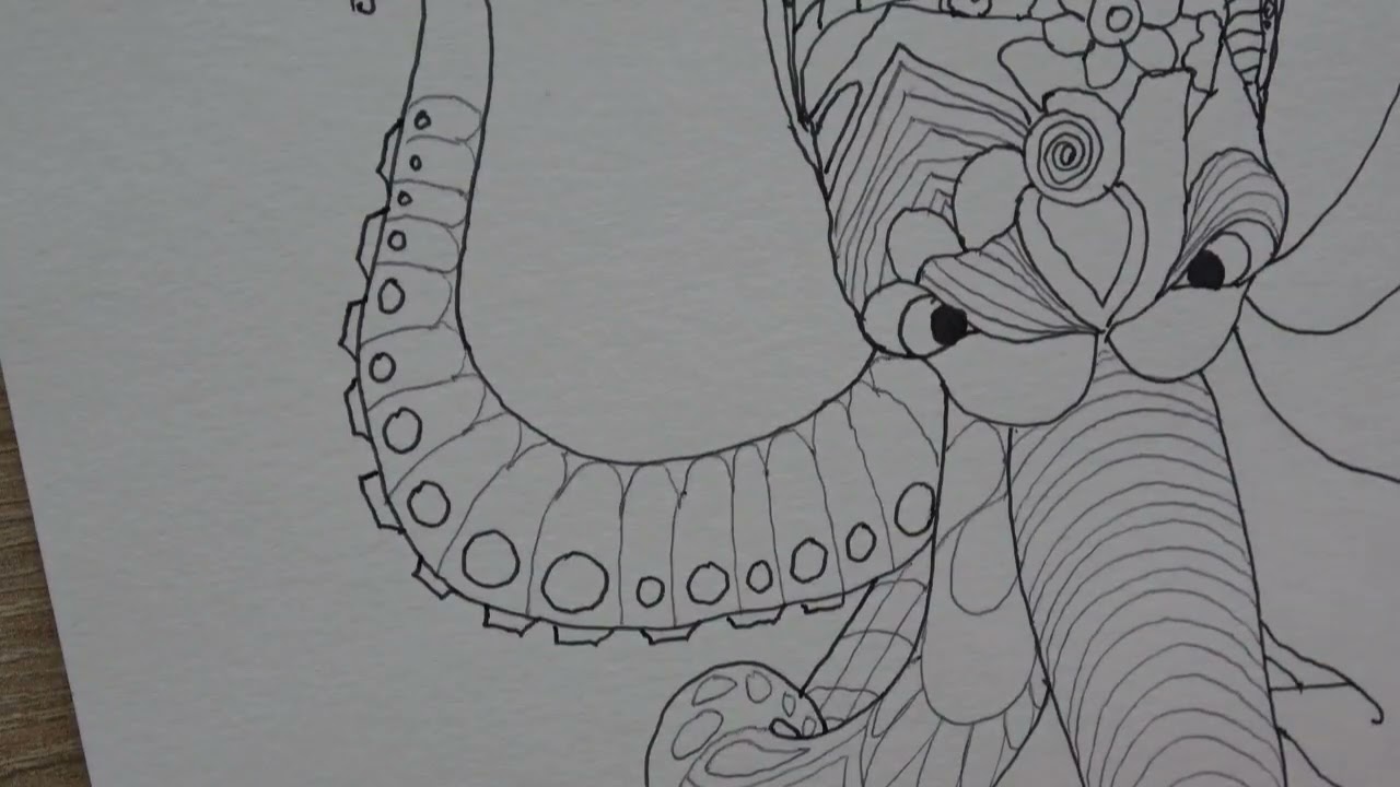 PULPO 2