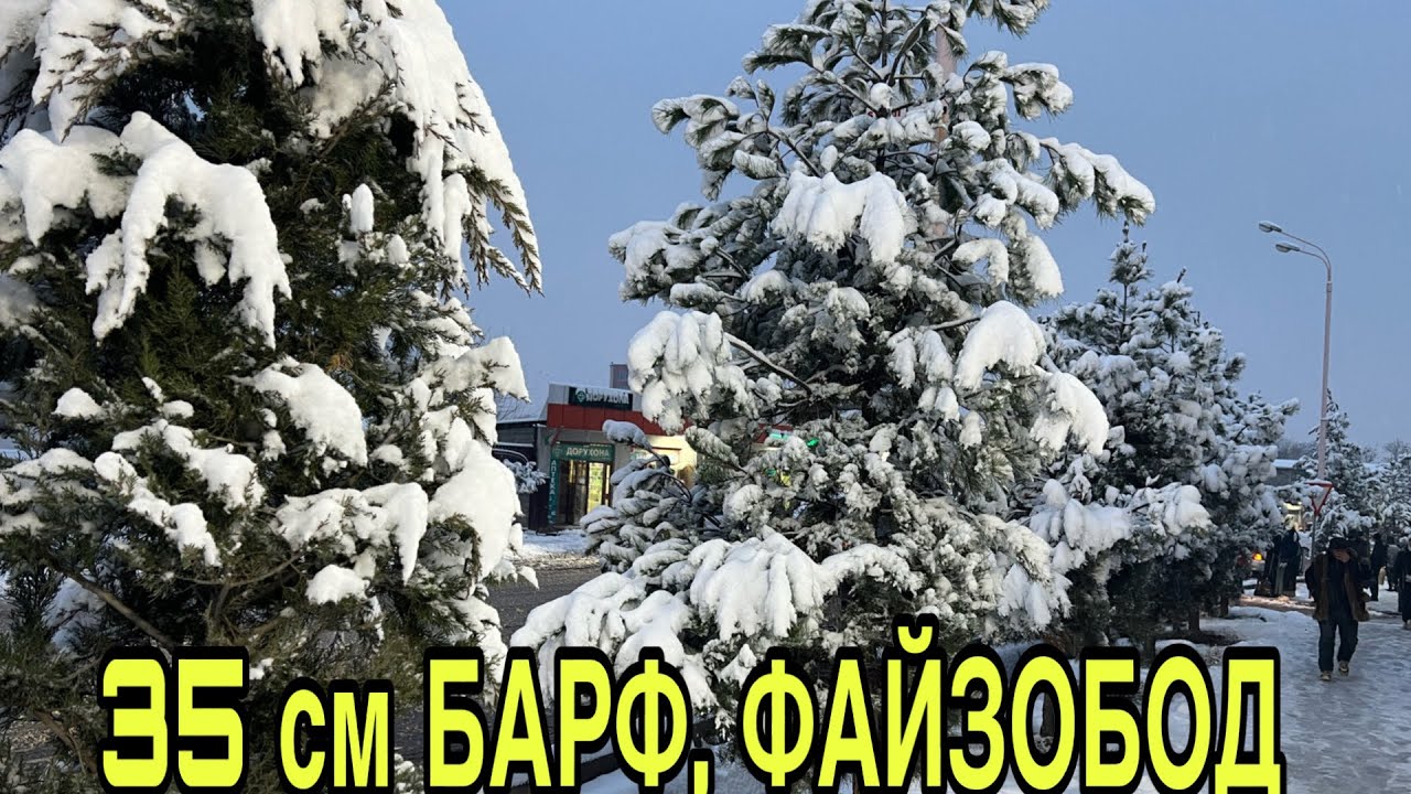 ЗИМИСТОНИ ФАЙЗОБОД! дар ҷои Шумо ЗИМИСТОН чӣ гунна ҳаст!