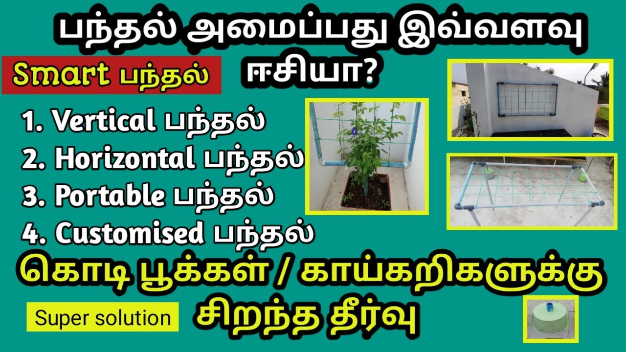 பூ பந்தல் கொடி பந்தல் | Vertical Horizantal Customize Portable pandhal | pandal ideas terrace garden