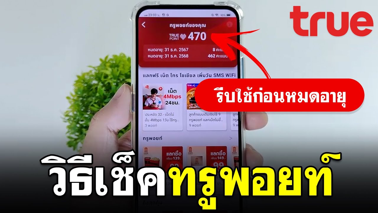 วิธีเช็คทรูพอยท์ | ท รู พอยท์ TruePoint