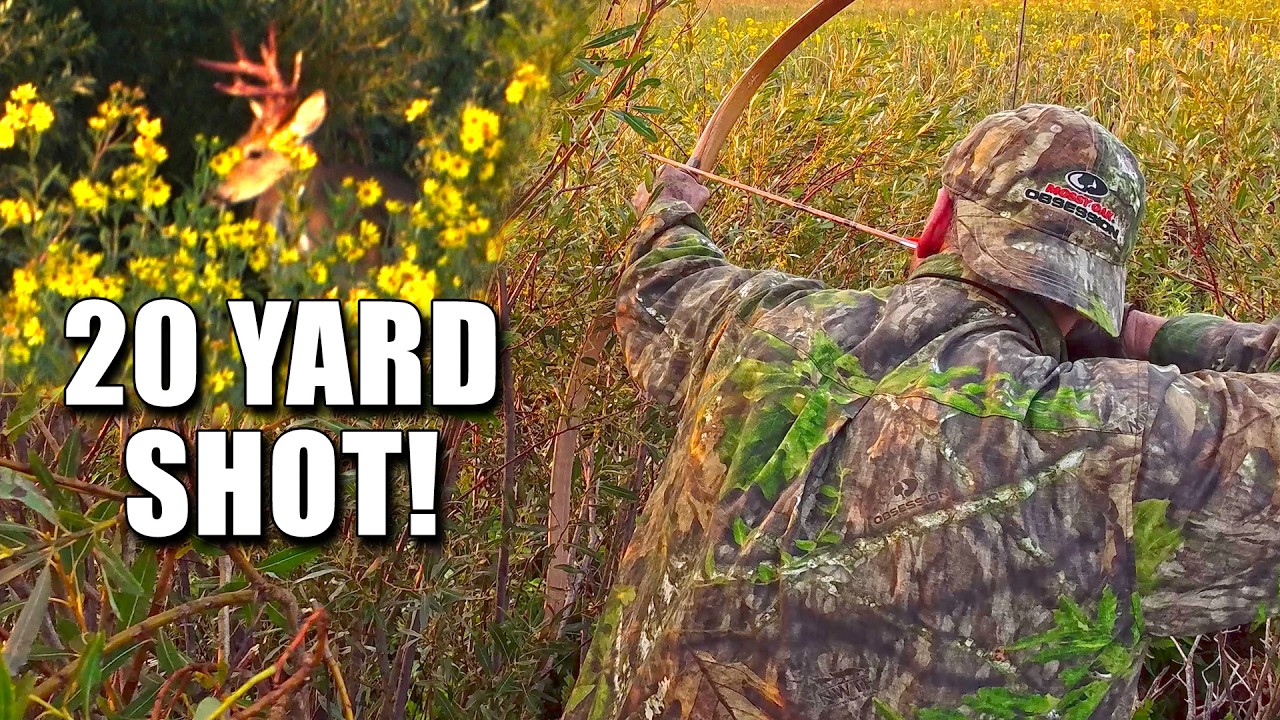 Public Land Heart-Pounder | 20 Yards With a Recurve