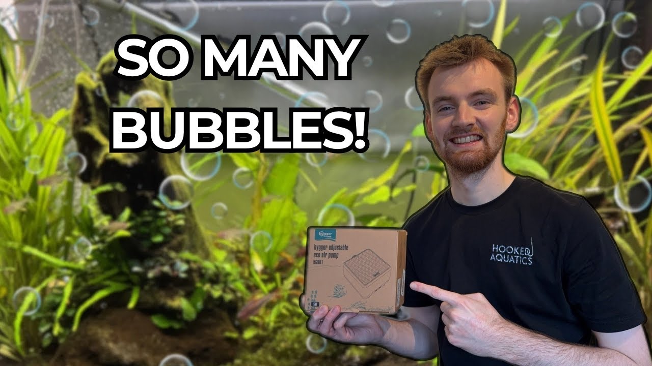 Most Effective Air Pump? I Wasn&rsquo;t Expecting This!