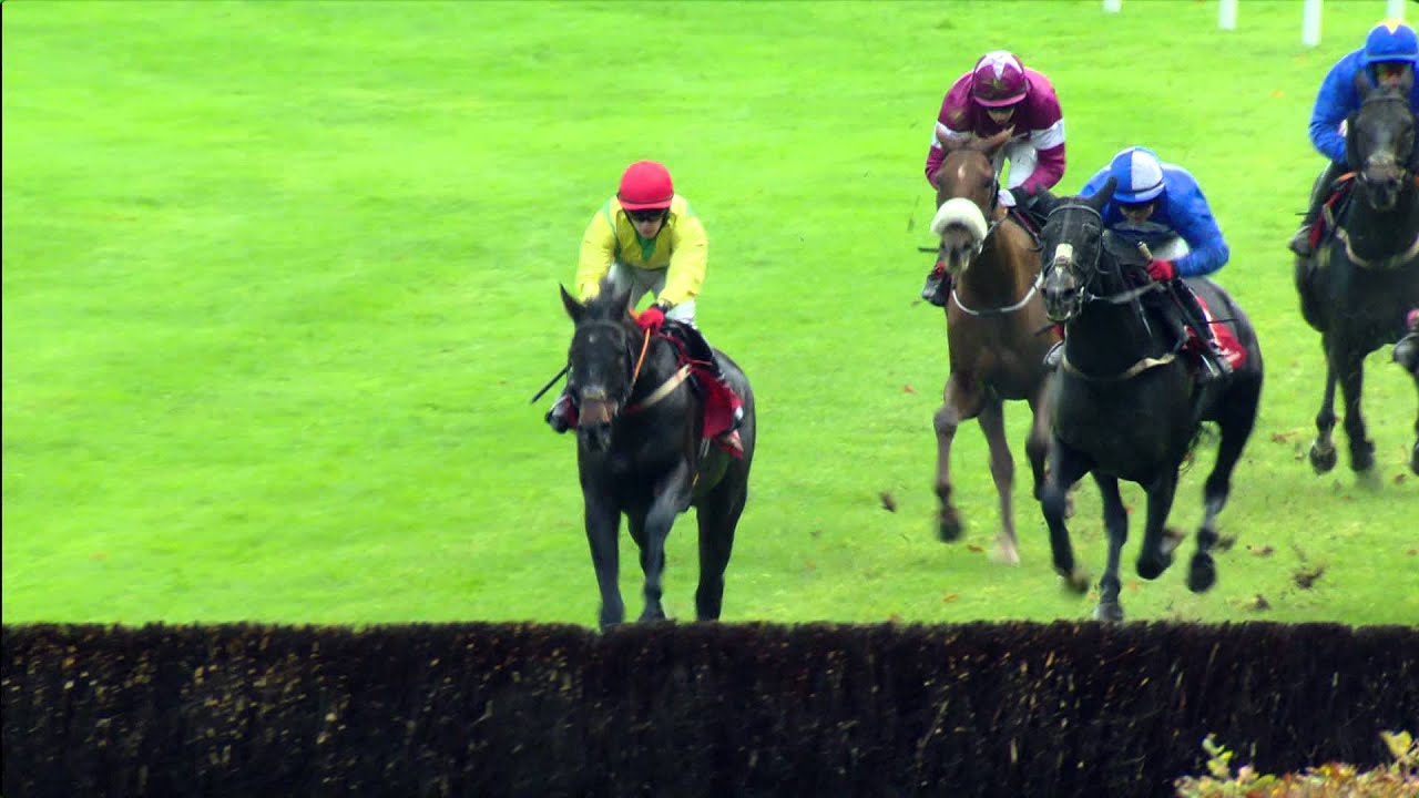 Punchestown Highlights 27th October 2015