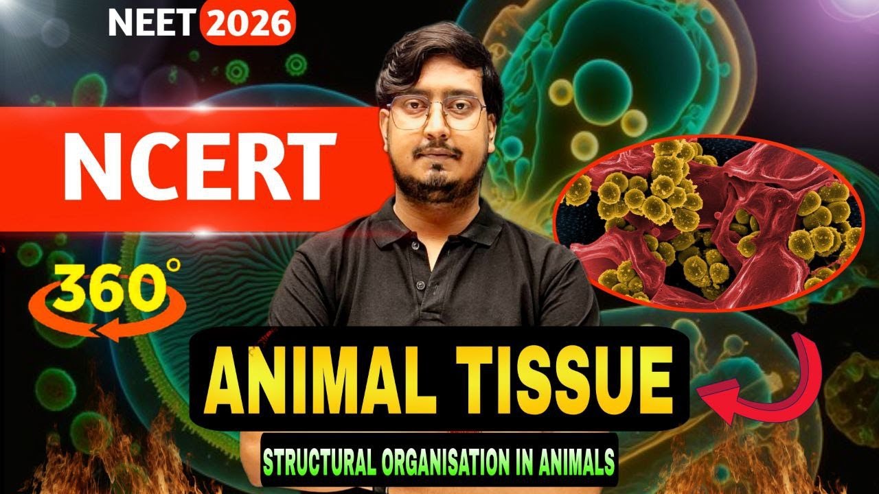 structural organisation in animals class 11| structural organisation in animals class 11 one shot