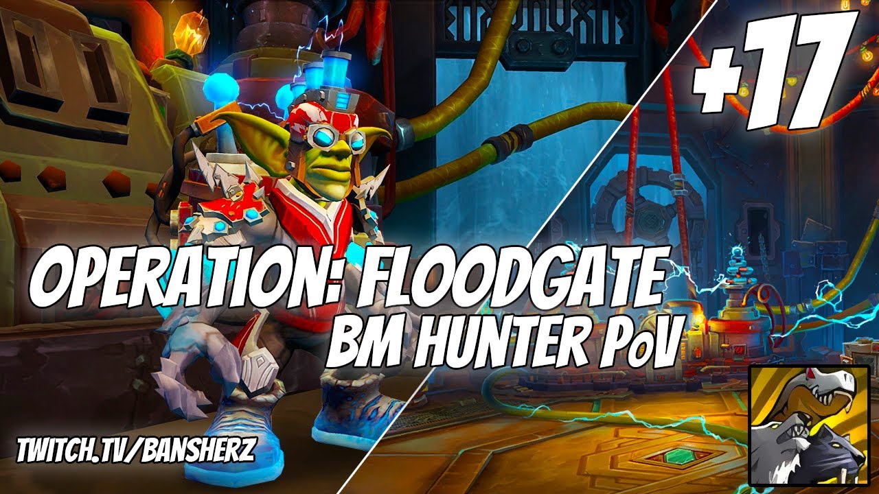 +17 Operation Floodgate BM Hunter PoV No Multi Build