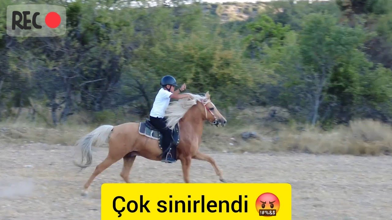 Arası daha önce hiç böyle görmediniz 🤣