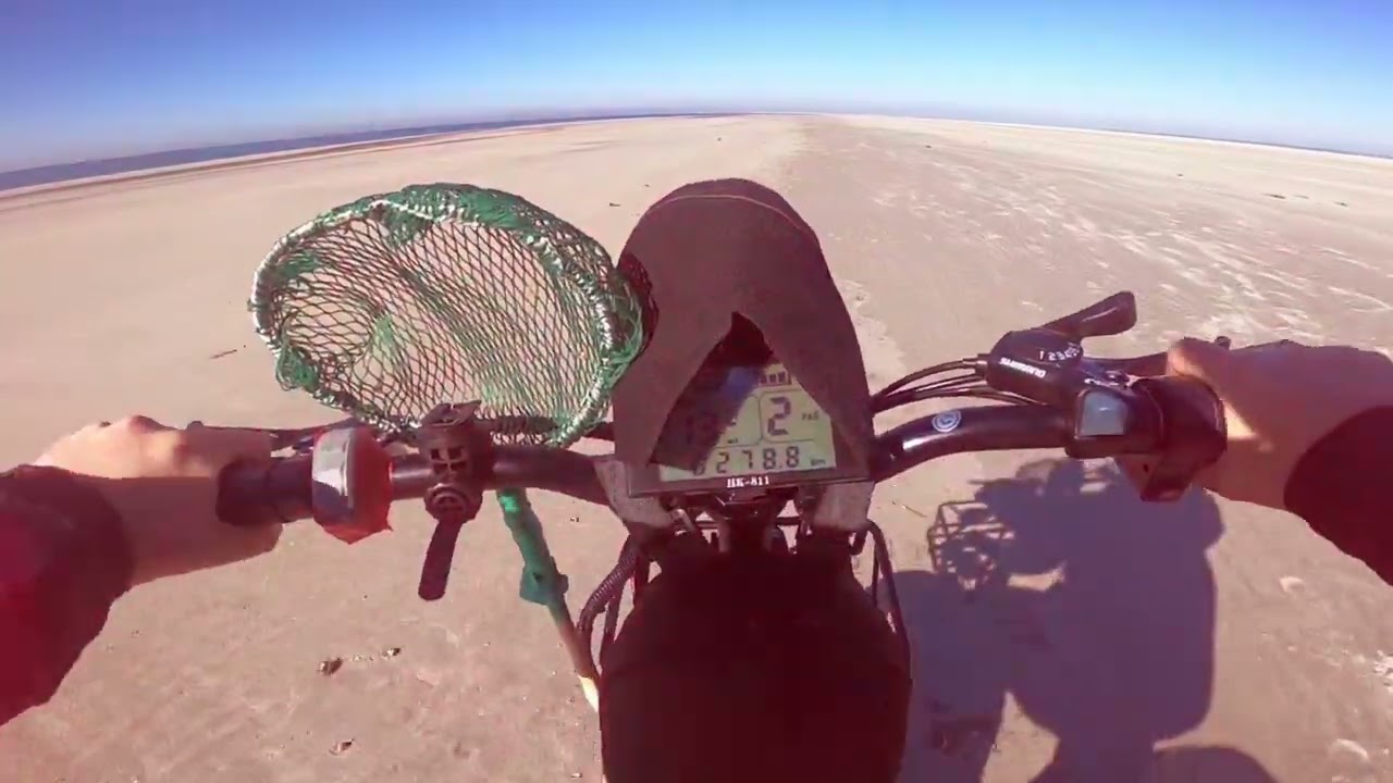Kom med og se den nordligste del af Fanø strand