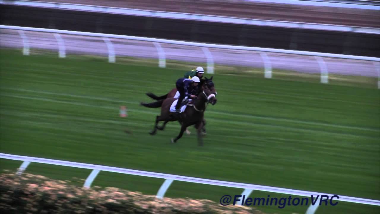 Breakfast with the Stars | 29 October 2013 | Moriarty and Zoustar
