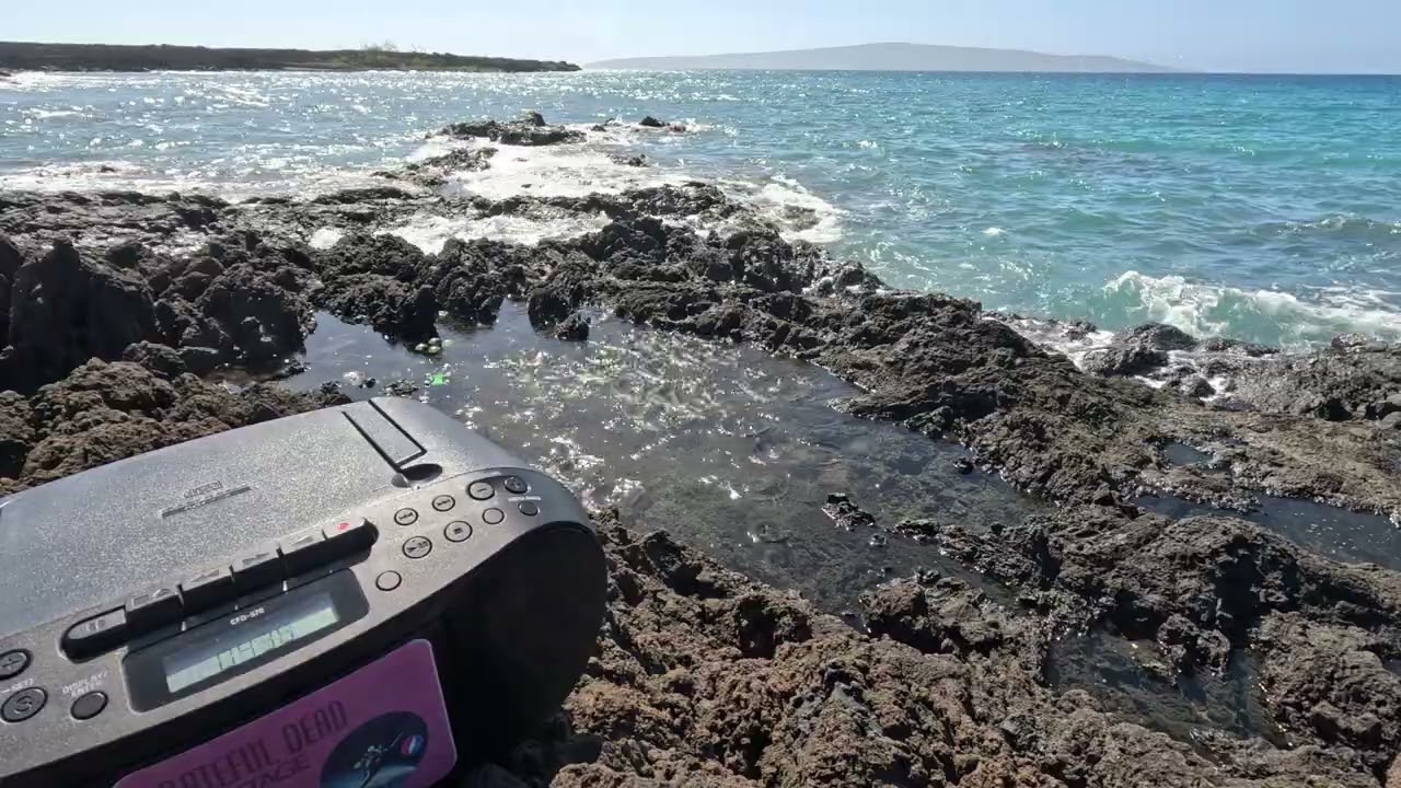 Maui 1636