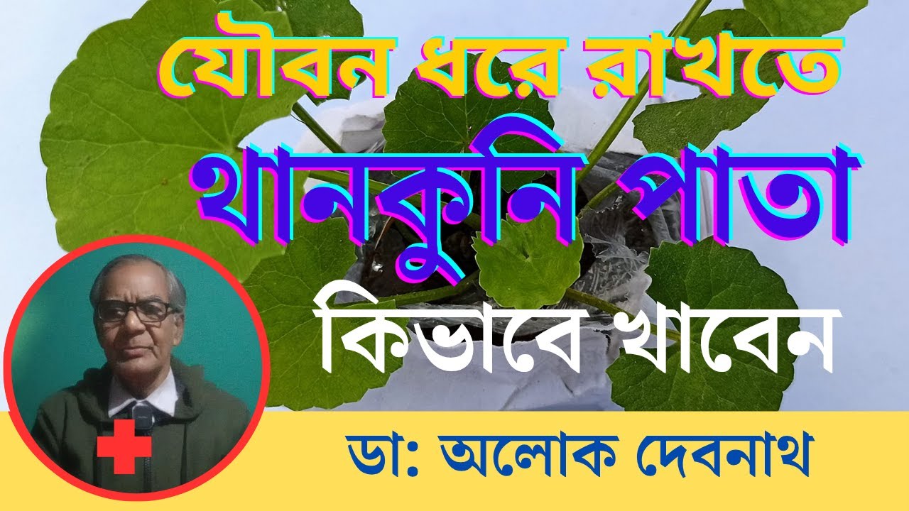 ✅ থানকুনি পাতার ৫টি যাদুকরী উপকারিতা । থানকুনি পাতা কিভাবে খেলে সব থেকে বেশি উপকার পাবেন ।