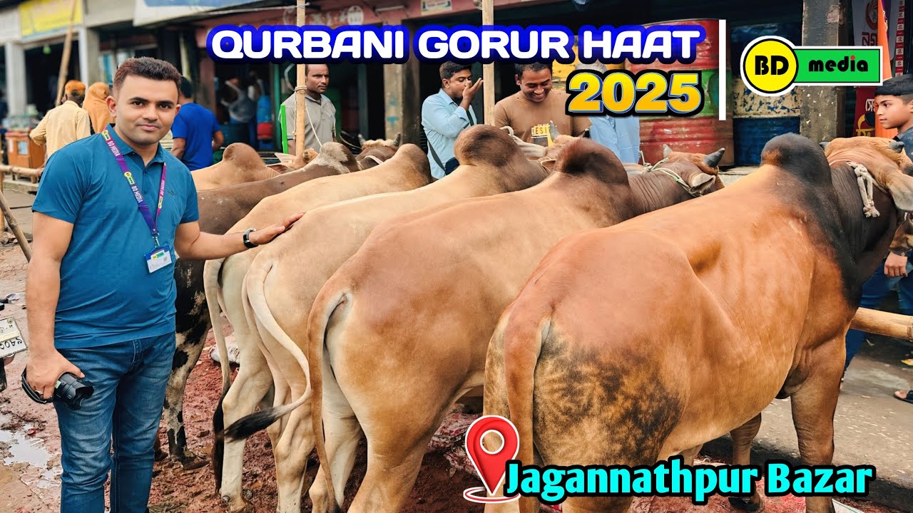 Jagannathpur Qurbani Gorur Haat Bazar 2025 কোরবানি গরুর হাট বাজার - জগন্নাথপুর ২০২৫