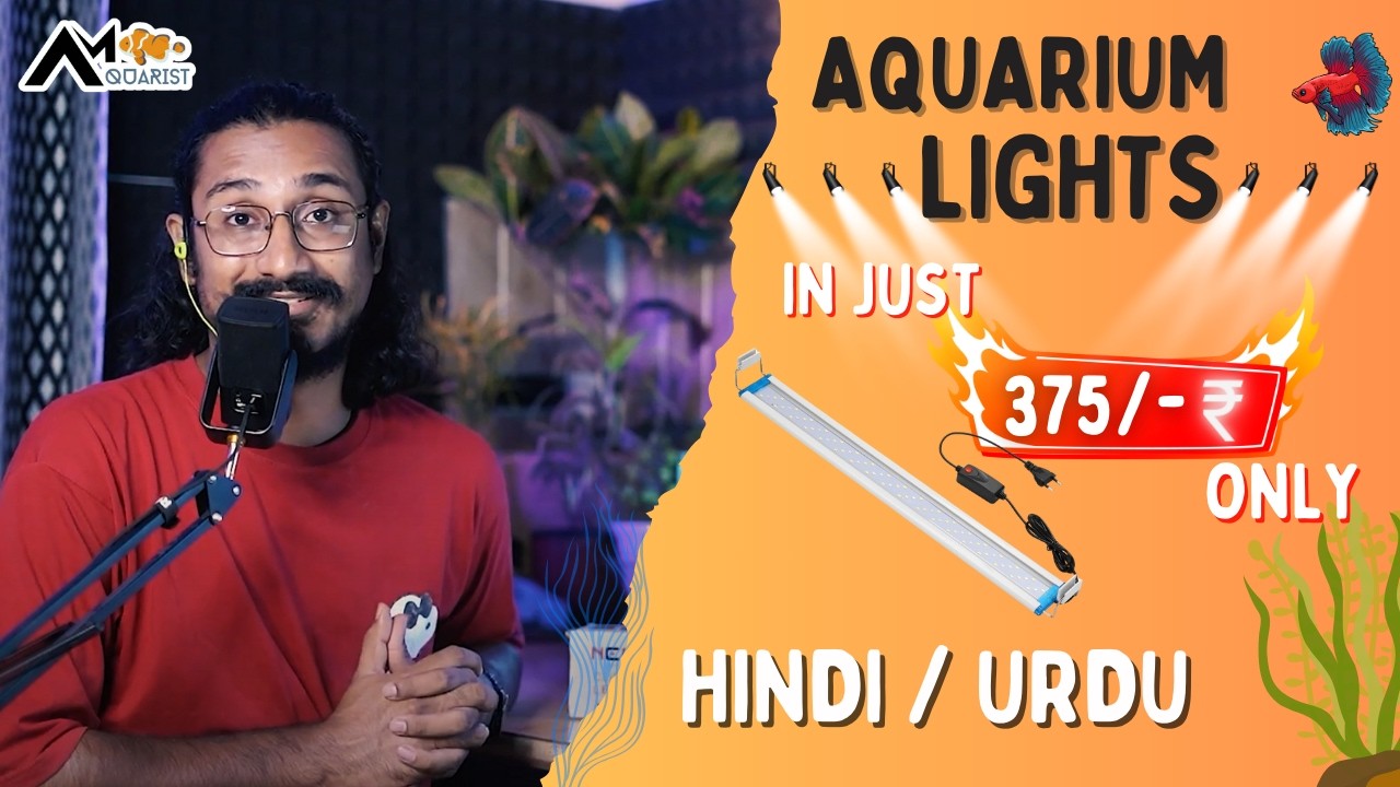 Best Aquarium Lights | Planted Aquarium Lights Review | Hindi & Urdu | Am Aquarist