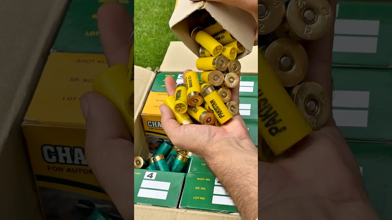 When you Find Treasure! unboxing 12-Gauge Cartridges #review #sports #shorts