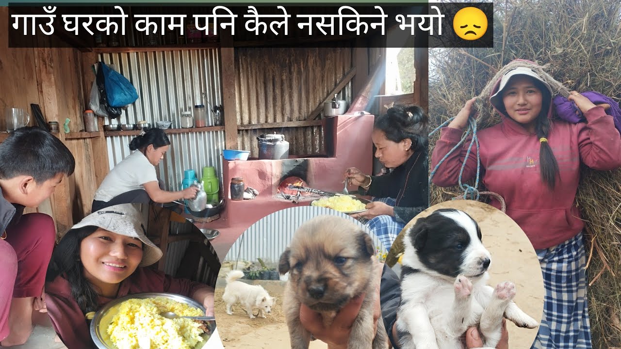 SANIBAR KO KAM HAMRO #bari ko jhos sordai hami#villagelife __20/10/2082