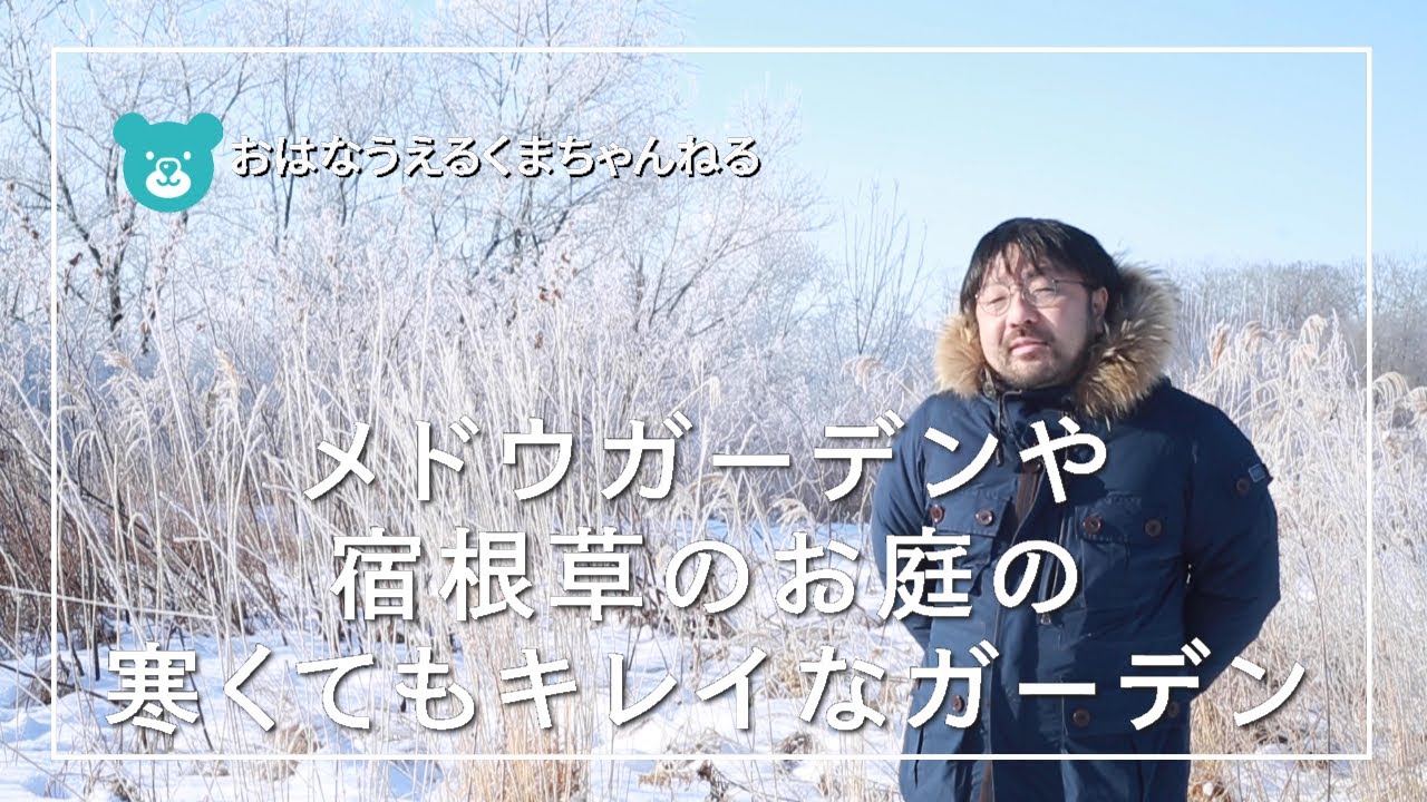 冬のメドウガーデンで宿根草のシードヘッドを残す理由