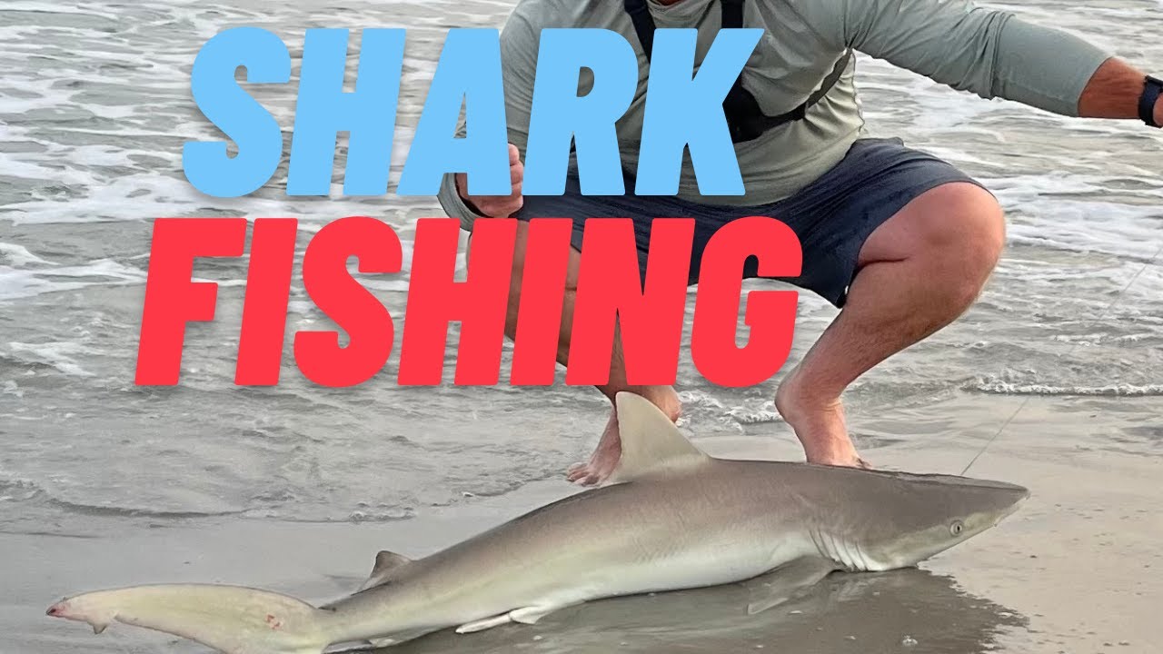Shark Fishing - Oak Island, NC