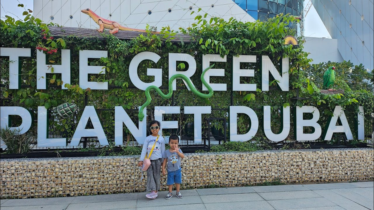 Indoor rainforest experience with kids |