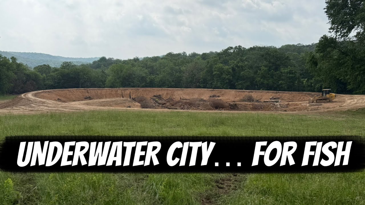 How We Built a Massive Fishing Pond from Scratch