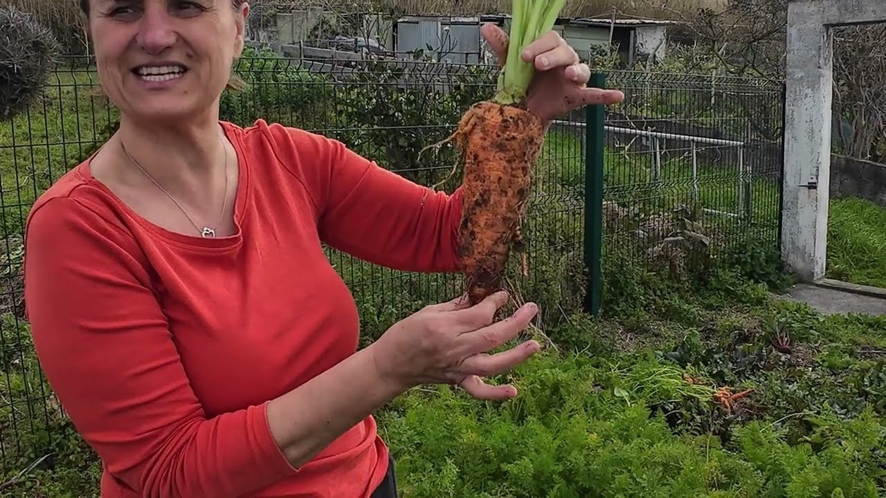 Island Living: Our Week in São Miguel (Chores, Harvest, Fun & Birthday Celebrations!) #azores #sun