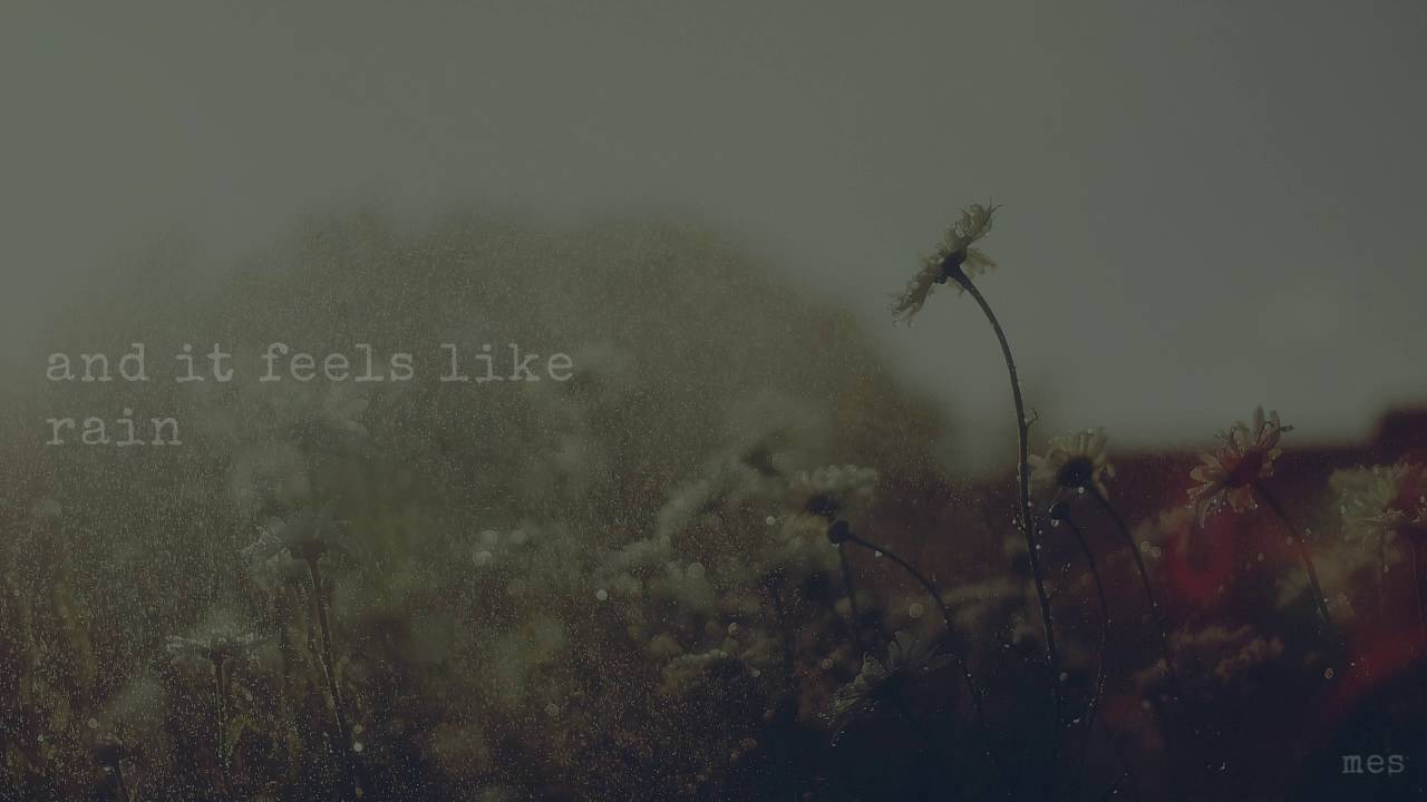 Feels Like Rain | John Hiatt | Lyrics ☾☀