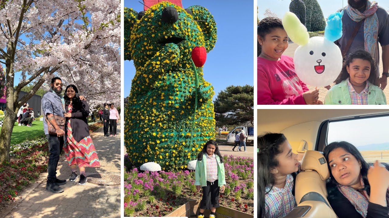 My Dream Seeing Cherry Blossom Came True in South Korea - Trying Hotteok for First Time