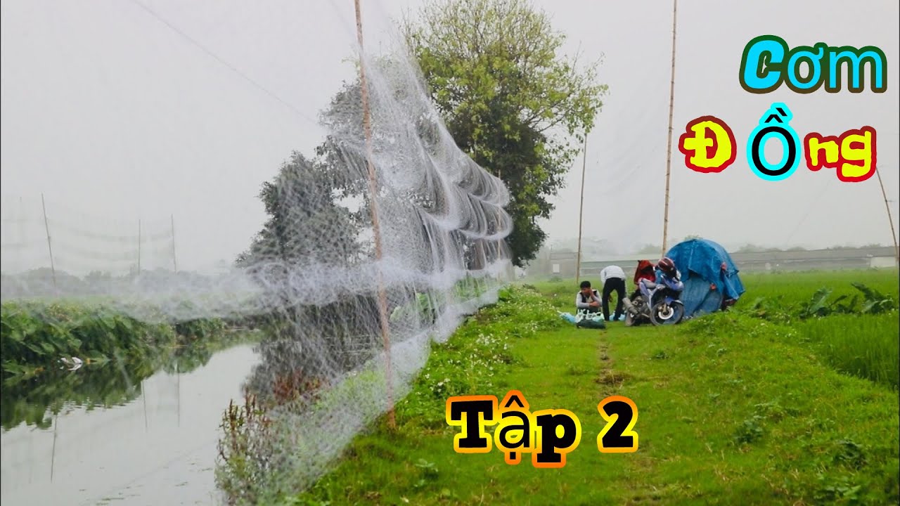 TvC - CƠM ĐỒNG • Tập 2 | Âm Thanh Bẫy Chim Đêm Tháng 3 - Soi Chim Đêm Dính Lưới Đủ loại Chim