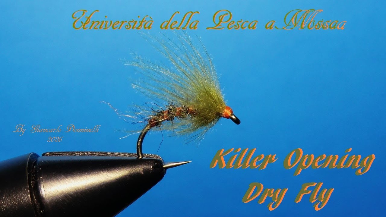 KILLER OPENING DRY FLY By Giancarlo Donninelli