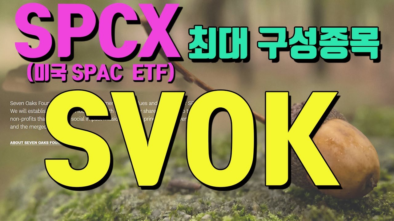 미국 자산운용사가 선택한 SPAC _ SVOK 분석!