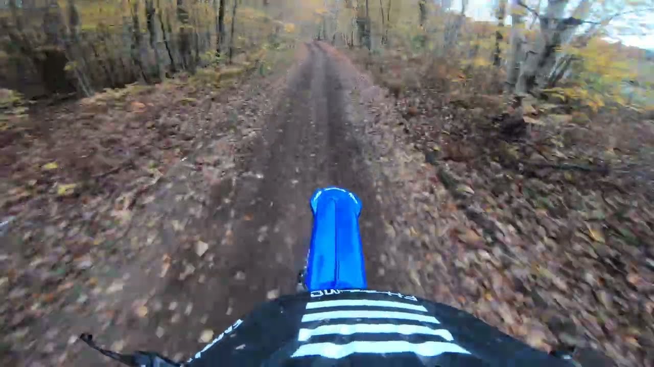 Some woods on a Yz250 
