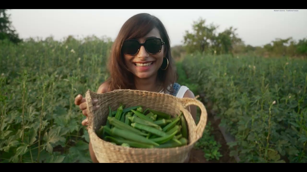 The Green Jewel - A short film about Okra/ Bhindi