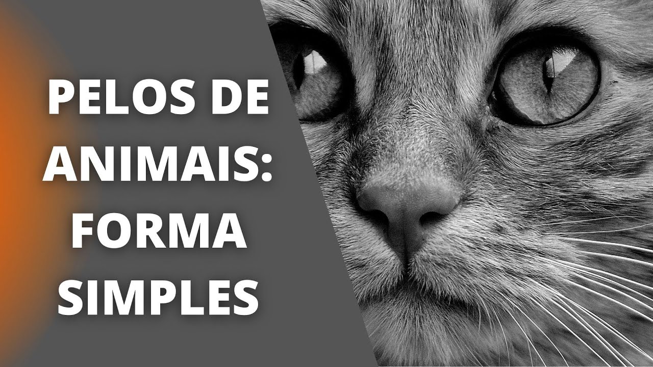 Dicas para desenhar pelos de animais | Desenhos realistas