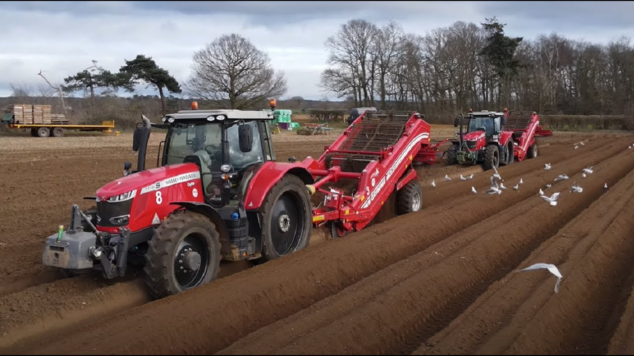 4k Foskett Farms planting potatoes in Sutton, Suffolk - Massey Ferguson, Valtra, Grimme