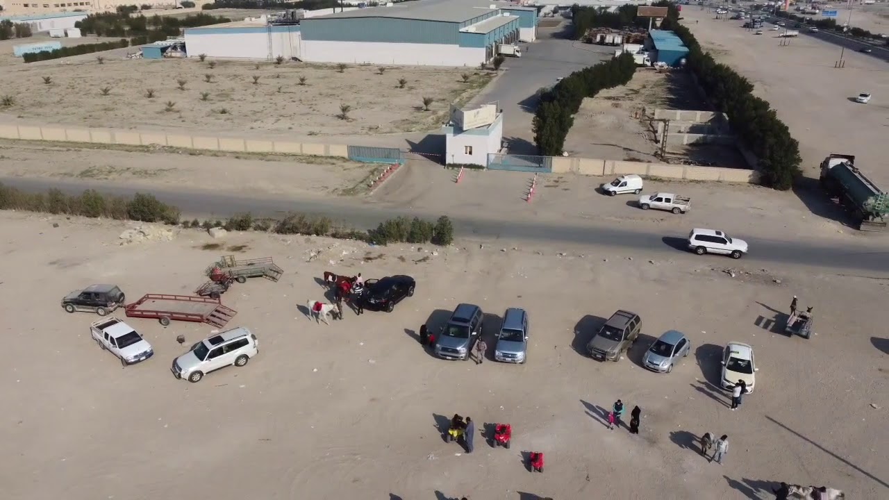 رحلة الى جواخير كبد