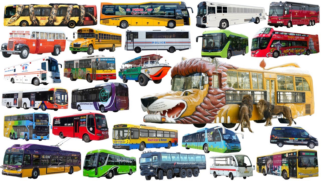 NEW Bus, Safari Bus, Police bus, School bus | Bus Name Collection - Learning Vehicle Types of Bus