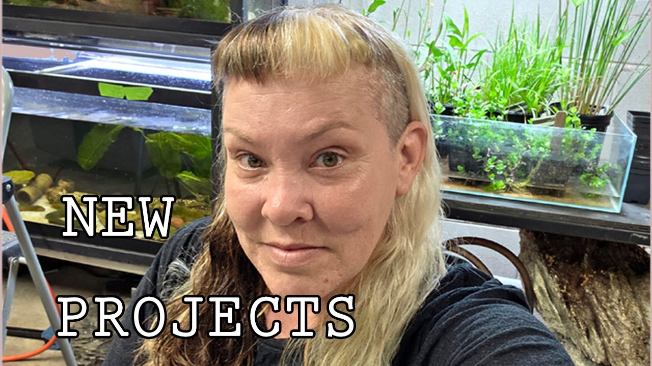 New fish and a Sneak Peek