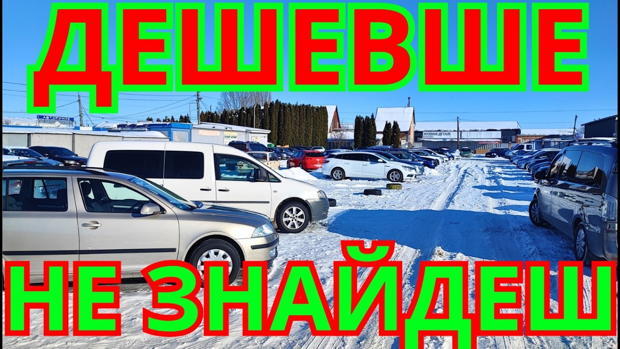 Авто Базар Біла Церква ЗИМА 2026 #автобазар #білацерква #оглядавто #підбіравто #продажавто #базар