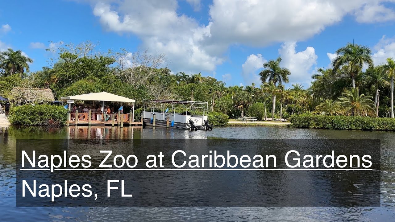 Visit to Naples Zoo at Caribbean Gardens!