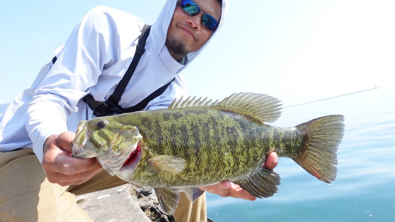 Smallmouth Bass Fishing in Downtown Chicago (Unexpected New PB!)
