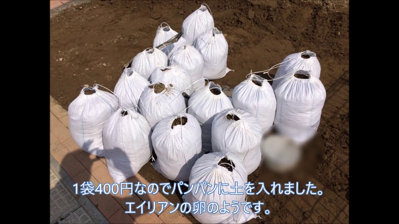 土の処分をしてみました。Ｖｏｌ．③