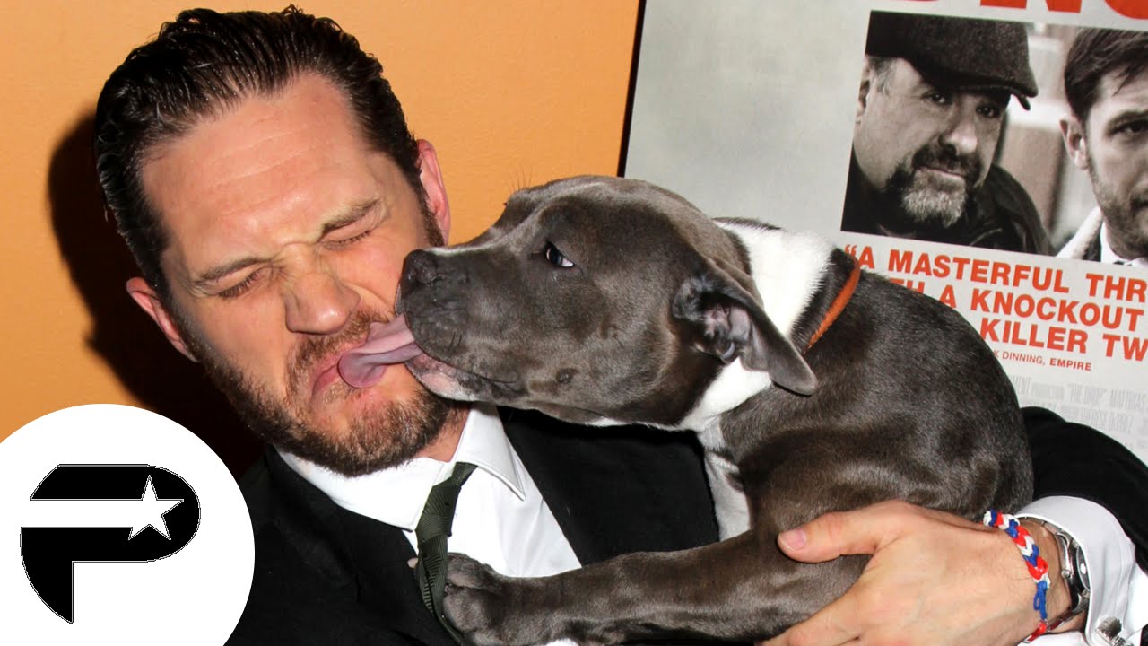 Ces stars qui ont du chien !