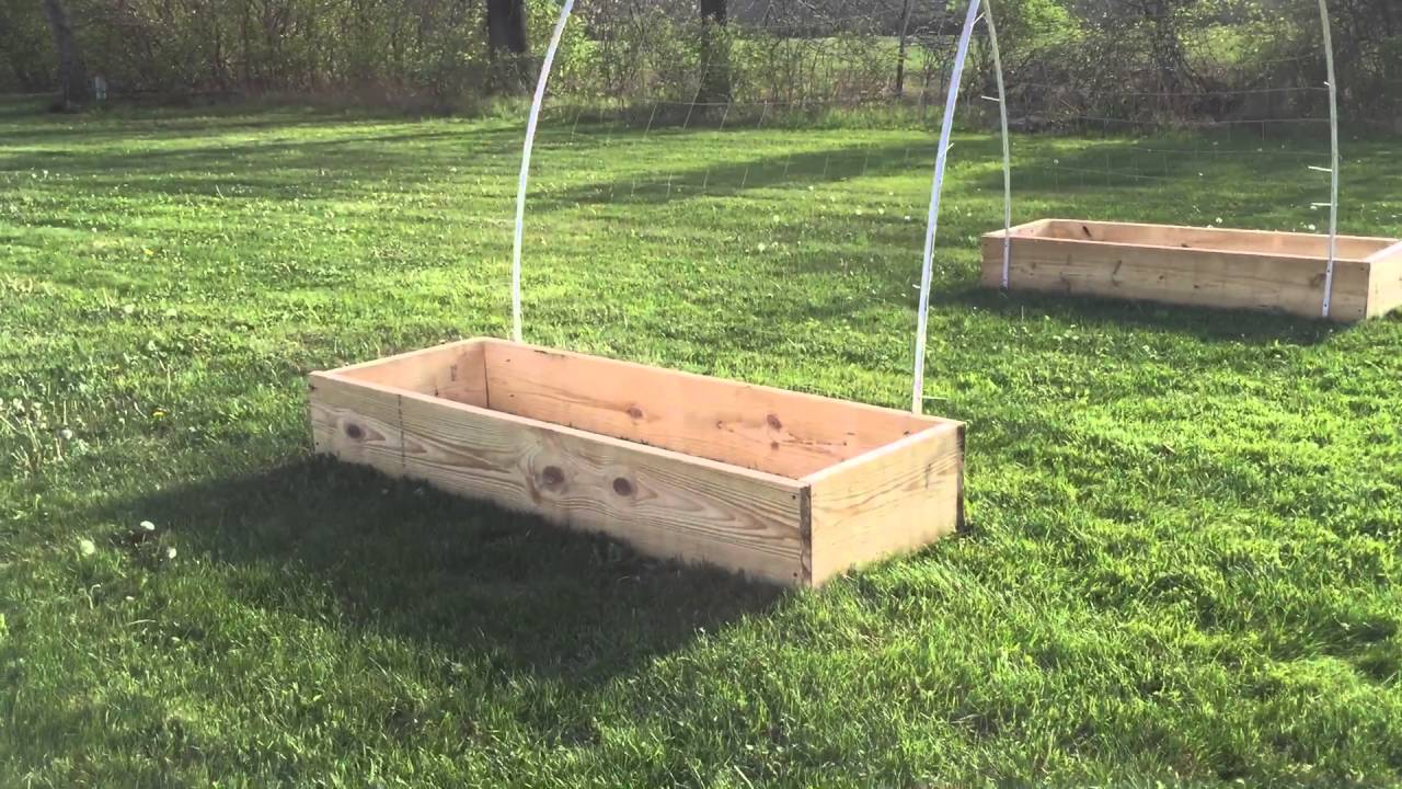 Make a Pumpkin Trellis for Under $17 DIY