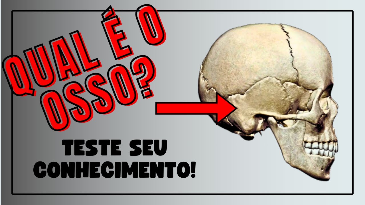 OSSOS DO CRÂNIO - Corpo Quiz 10 PERGUNTAS