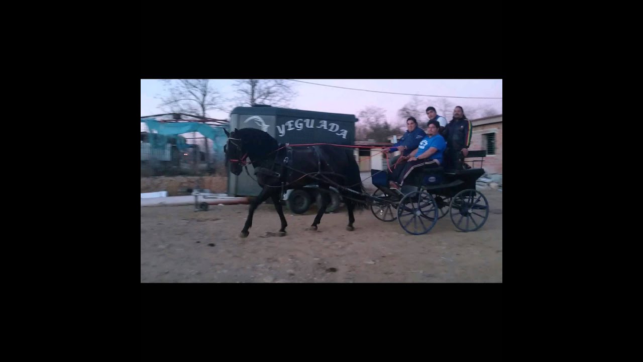 Los nitros 2014