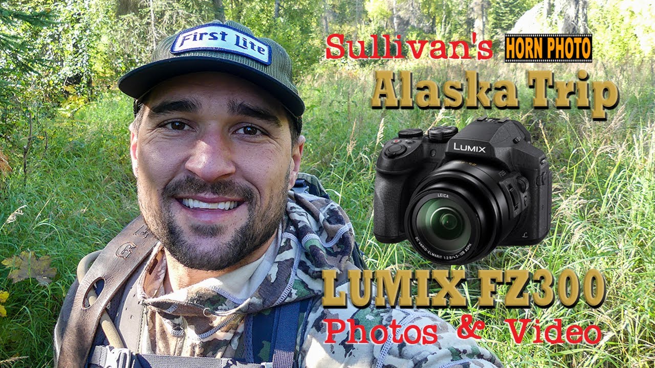 Sully's Lumix FZ300 Alaska - Horn Photo