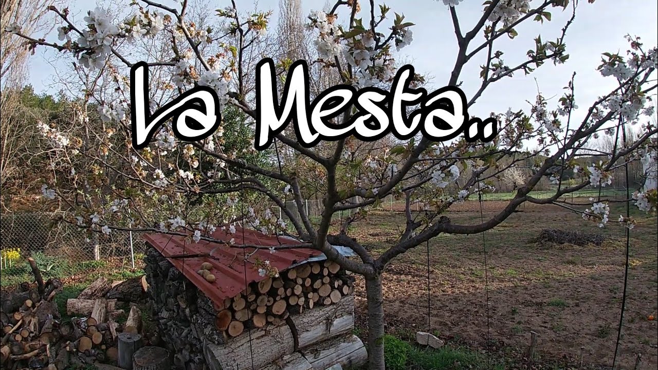 LA MESTA.. Pueblo condenado al olvido... o no  #senderismo #pueblo