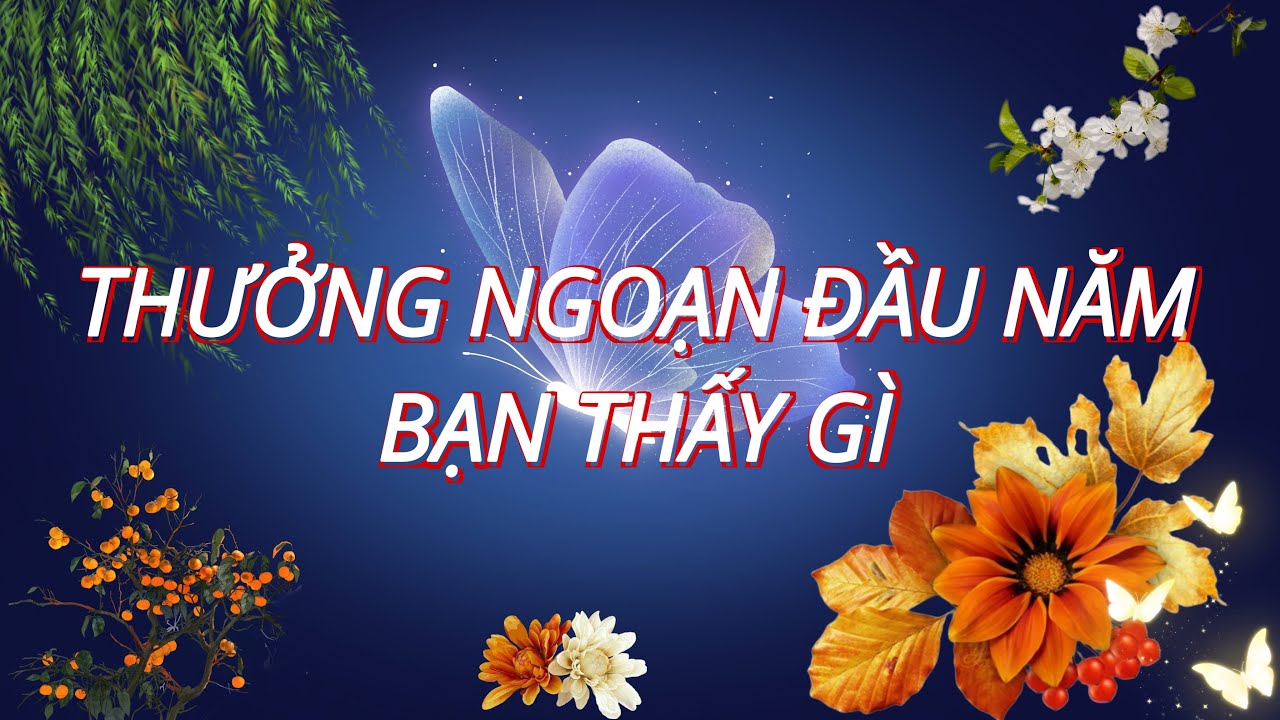 THƯỞNG NGOẠN ĐẦU NĂM BẠN THẤY GÌ 🌾💵🍀 Người đưa thư #245