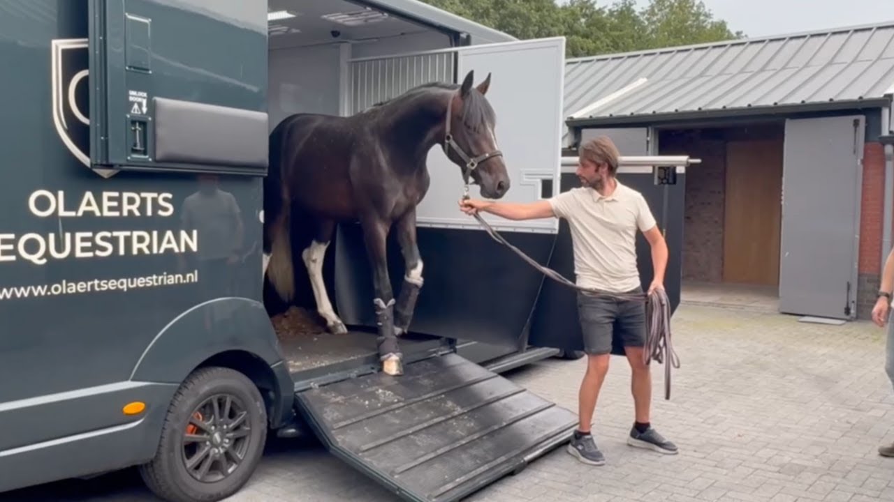 We brengen onze hengsten weg... 🥹