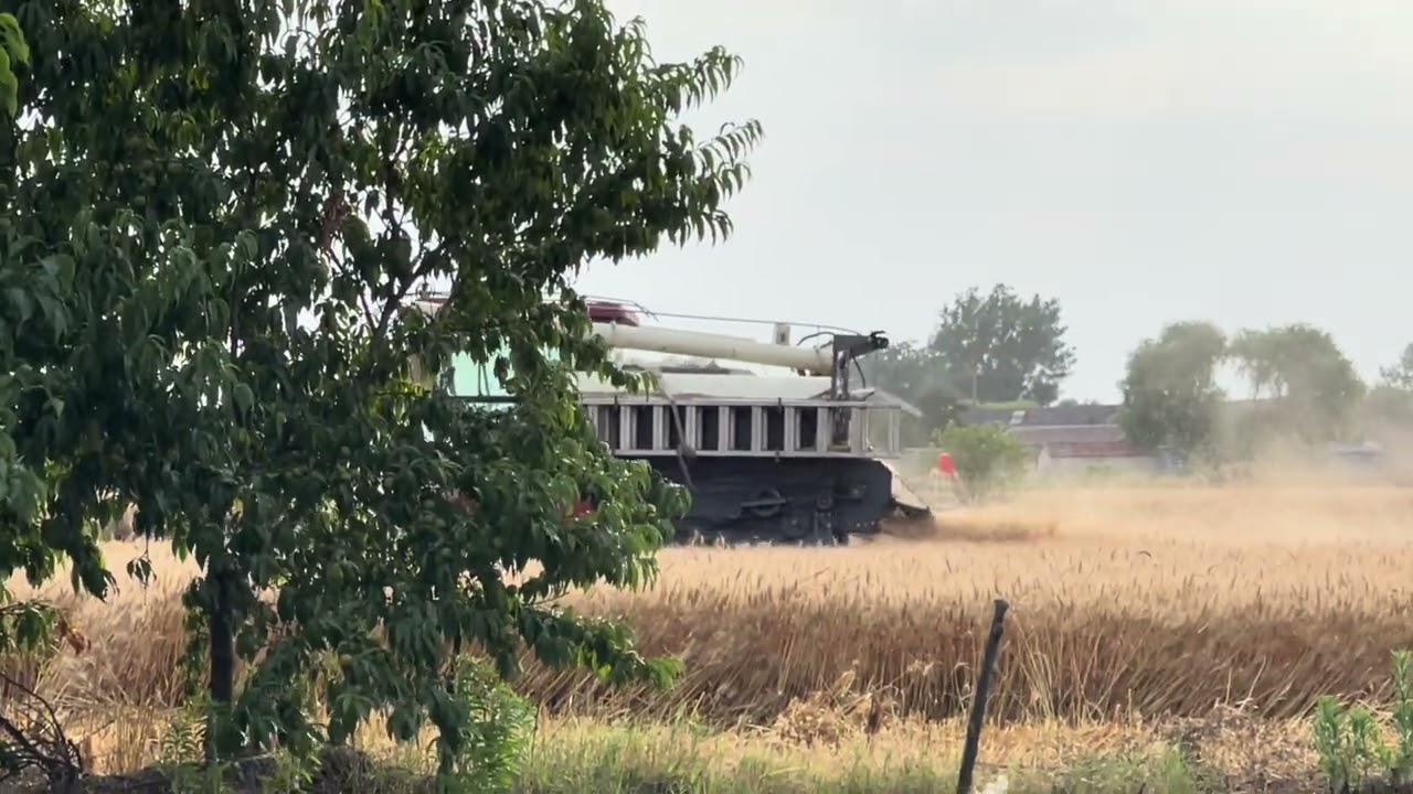 Farewell to the Sickle: Modern Agriculture Enters Rural China
