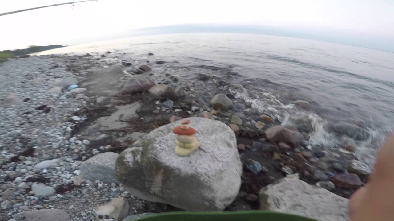 HAVØRREDER PÅ ALS