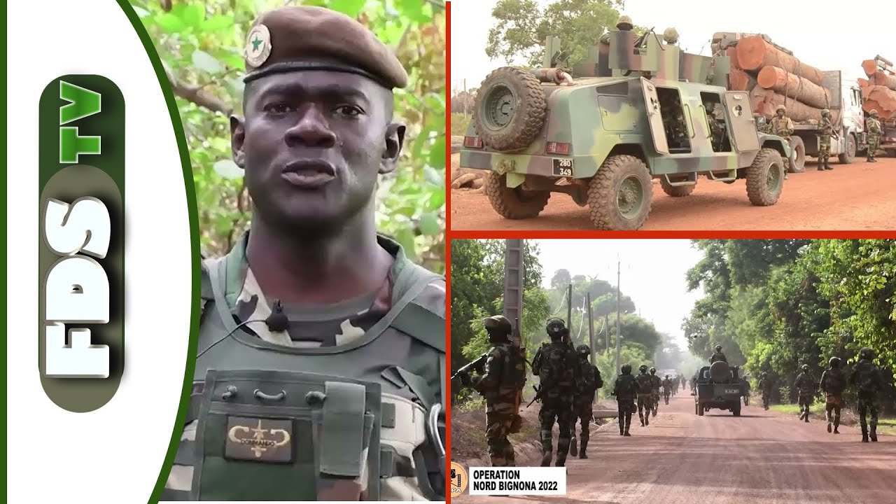 🔴APRES LE SUCCES DE L'OPERATION 